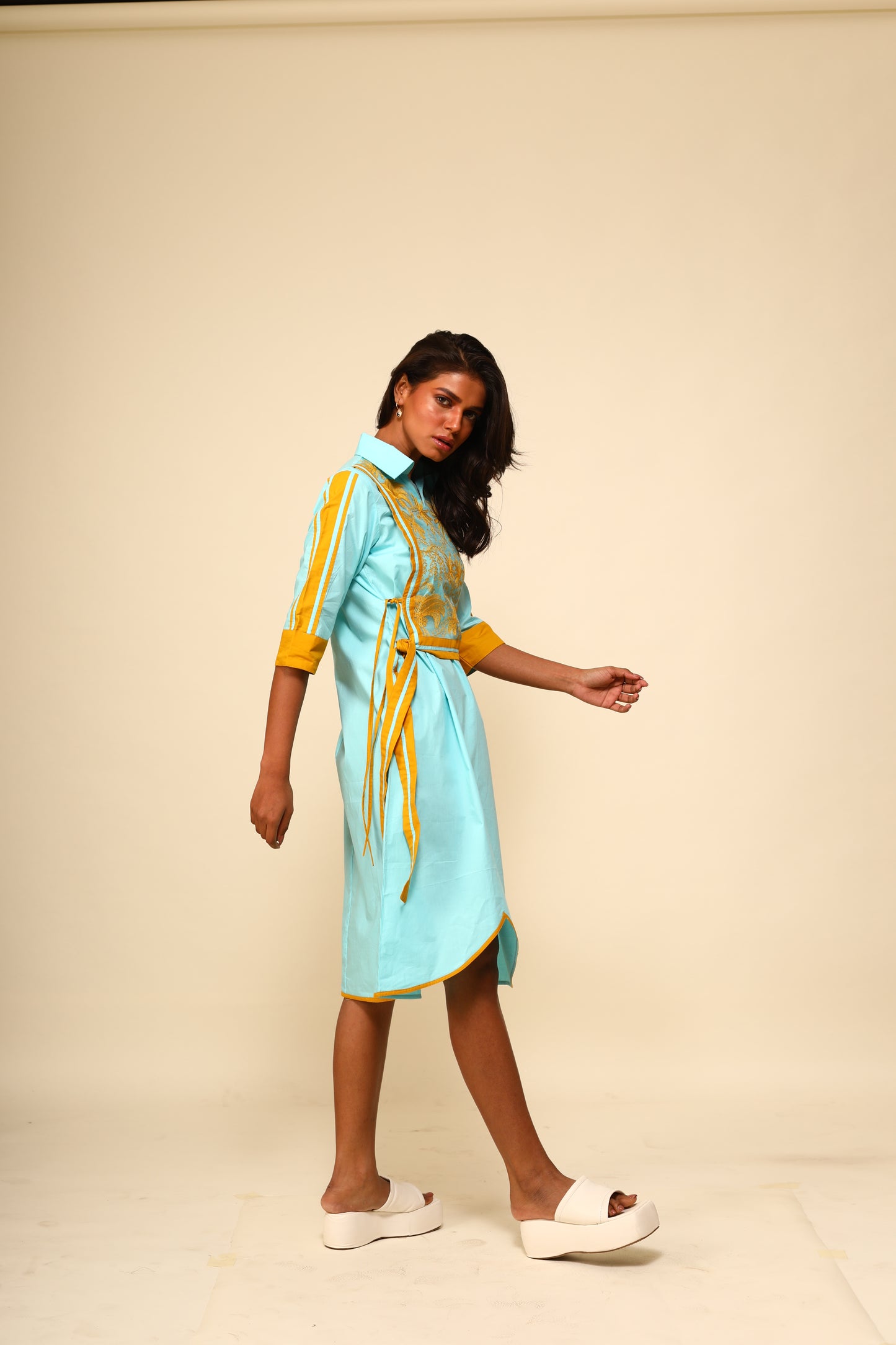 Wilderness Dress in Blue